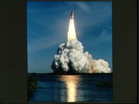 10105222.JPG