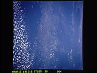 20157074.JPG