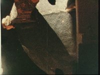 10060337.JPG
