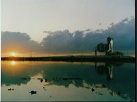 10060315.JPG