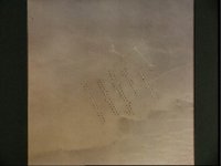10060520.JPG