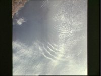 10060826.JPG