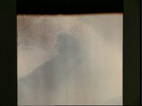 10060823.JPG