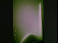10060987.JPG