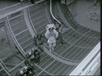 10060893.JPG