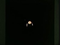 10061063.JPG