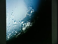 10061231.JPG