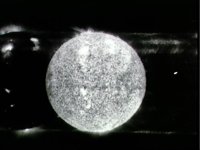 10076166.JPG