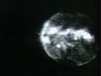 10076404.JPG
