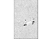 DSGN0168.jpg