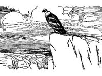 DSGN0714.jpg