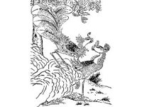 DSGN0711.jpg
