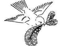 DSGN0686.jpg