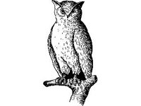 DSGN0678.jpg