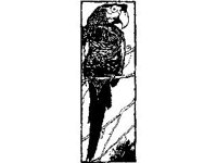 DSGN0676.jpg