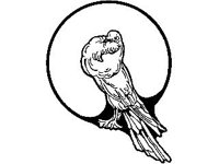 DSGN0659.jpg