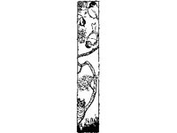 DSGN0653.jpg