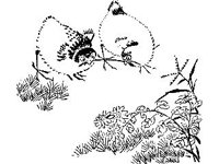 DSGN0650.jpg