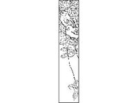 DSGN0649.jpg