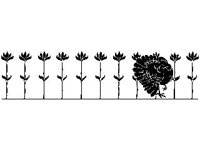 DSGN0646.jpg