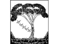 DSGN0644.jpg