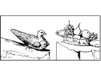 DSGN0627.jpg