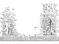 DSGN0595.jpg
