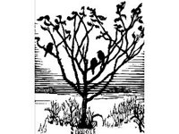 DSGN0578.jpg