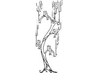 DSGN0577.jpg