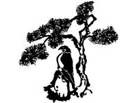 DSGN0560.jpg