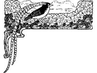 DSGN0559.jpg