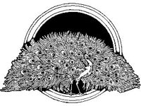 DSGN0544.jpg