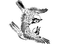 DSGN0503.jpg