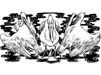 DSGN0496.jpg