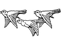 DSGN0494.jpg