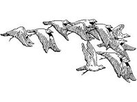 DSGN0493.jpg