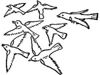 DSGN0488.jpg