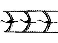 DSGN0464.jpg