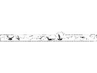 DSGN0455.jpg