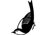 DSGN0368.jpg