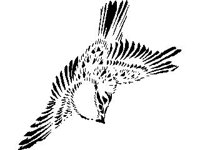 DSGN0347.jpg