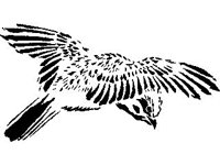 DSGN0346.jpg
