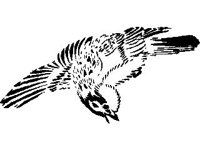 DSGN0345.jpg