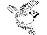 DSGN0344.jpg