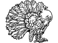 DSGN0322.jpg