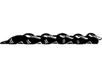 DSGN0293.jpg