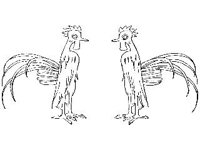 DSGN0284.jpg