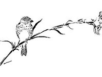 DSGN0235.jpg