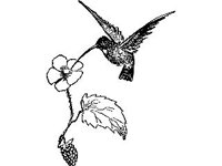 DSGN0229.jpg