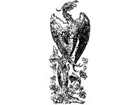 DSGN0177.jpg